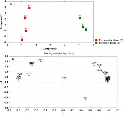 The Uptake and Release of Amino Acids by Staphylococcus aureus at Mid-Exponential and Stationary Phases and Their Corresponding Responses to Changes in Temperature, pH and Osmolality